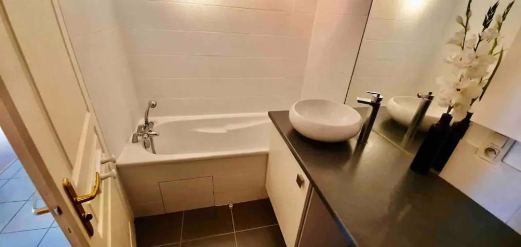 Tichnich Appartement - 2 Bedrooms - 1 Min Away From Train Station Annemasse Kültér fotó