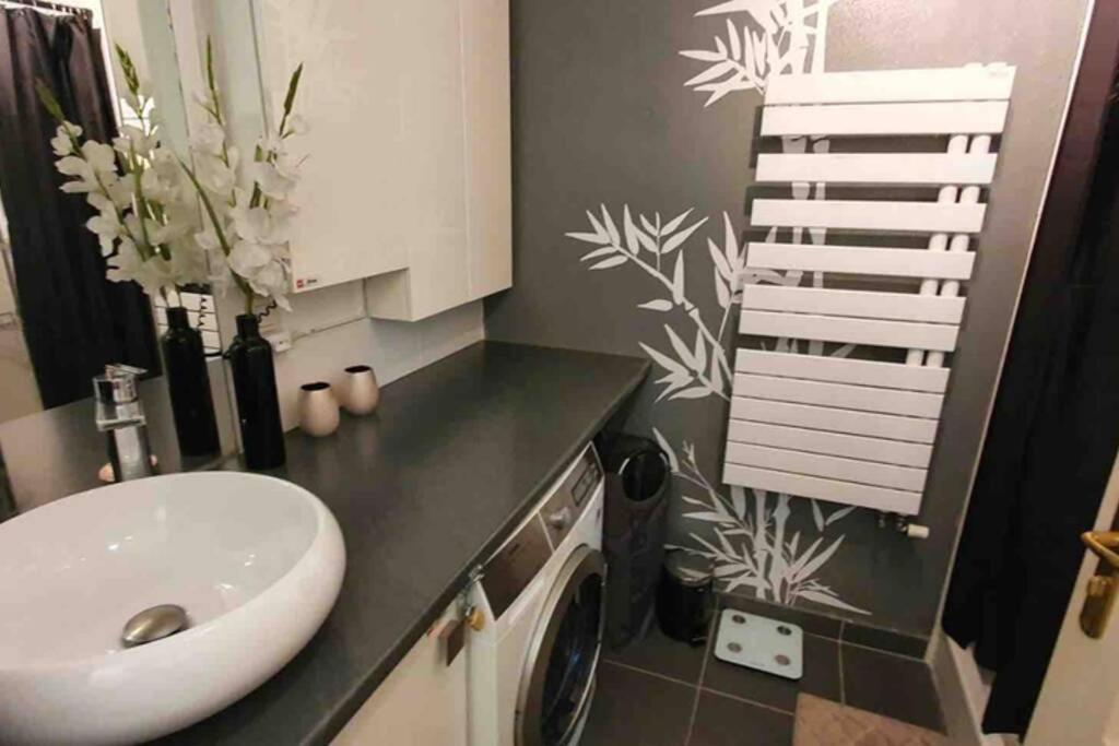 Tichnich Appartement - 2 Bedrooms - 1 Min Away From Train Station Annemasse Kültér fotó